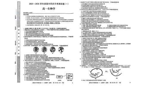 陕西省宝鸡市2025-2026学年高一上学期同步月考测试一（10月期中）生物试卷（扫描版，有答案）_2025年11月高一试卷_251103陕西省宝鸡市2025-2026学年高一上学期同步月考测试一（10月期中）
