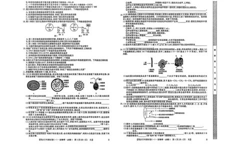 陕西省宝鸡市2025-2026学年高一上学期同步月考测试一（10月期中）生物试卷（扫描版，有答案）_2025年11月高一试卷_251103陕西省宝鸡市2025-2026学年高一上学期同步月考测试一（10月期中）