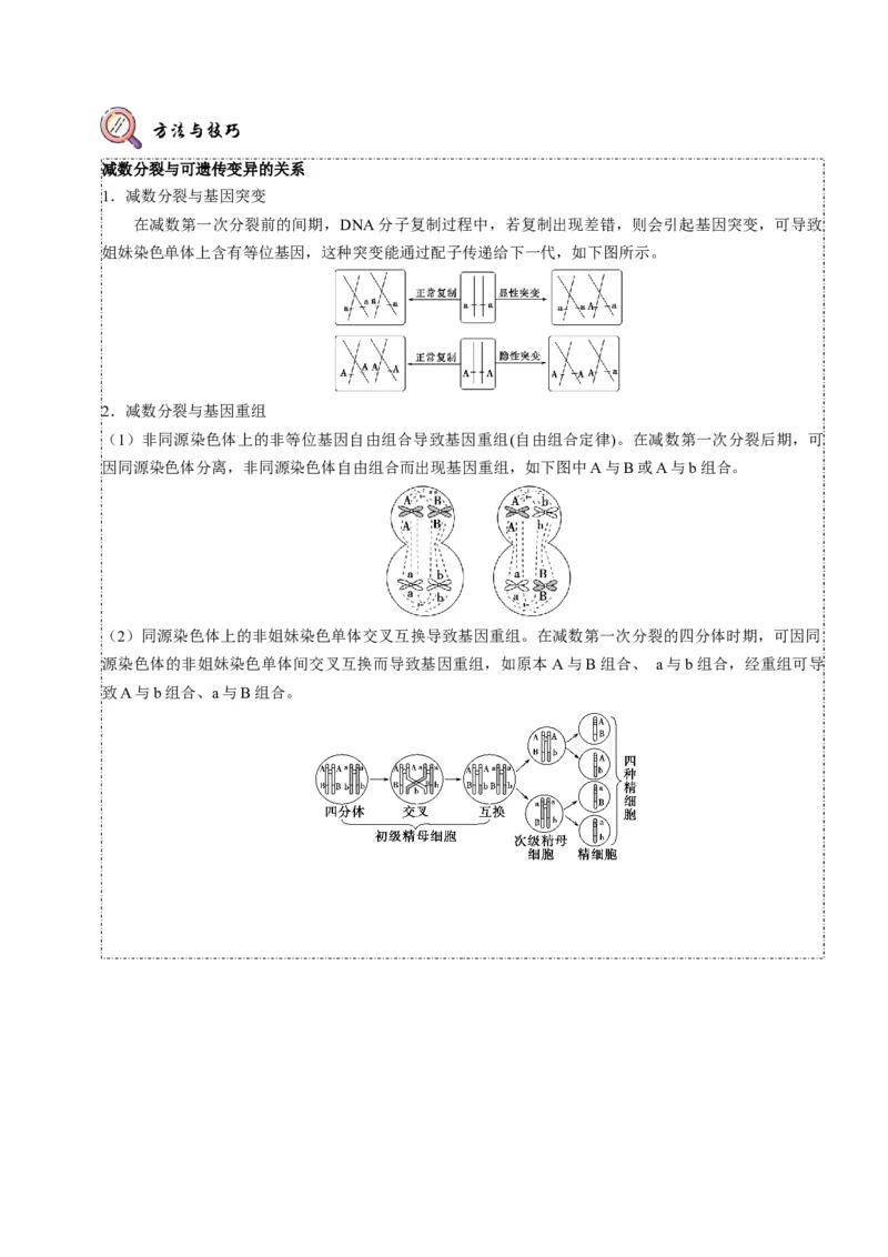 题型10构建模型，解减数分裂疑难问题（题型归纳）（解析版）_新高考复习资料_2023年新高考复习资料_二轮复习_技巧点拨备战2023年高考生物二轮题型复习讲解286731240