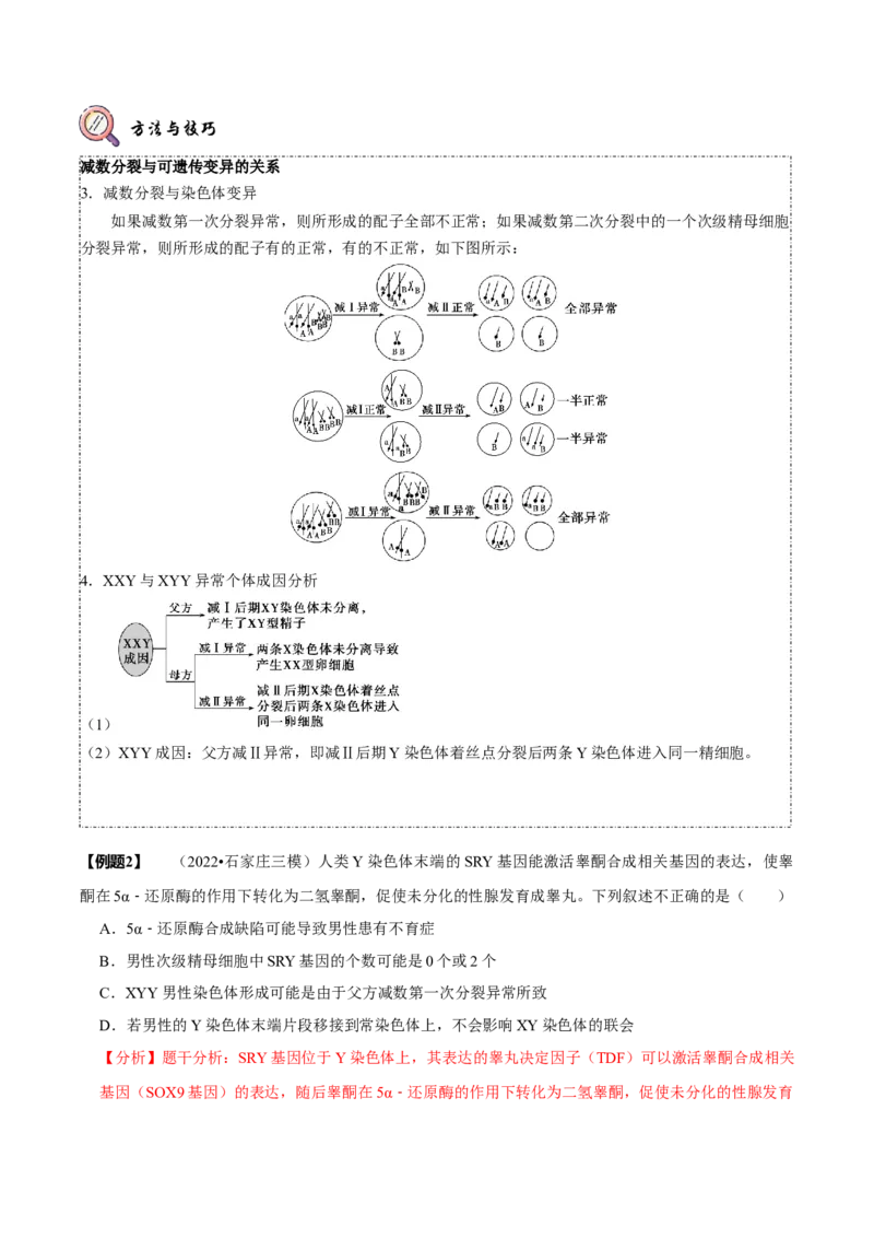 题型10构建模型，解减数分裂疑难问题（题型归纳）（解析版）_新高考复习资料_2023年新高考复习资料_二轮复习_技巧点拨备战2023年高考生物二轮题型复习讲解286731240