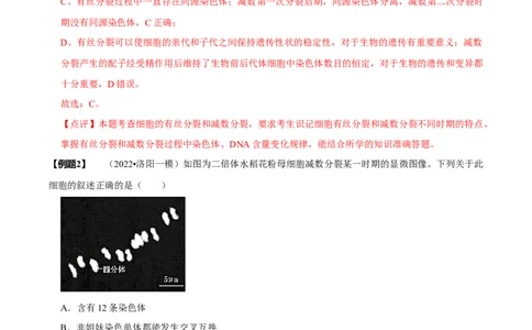 题型10构建模型，解减数分裂疑难问题（题型归纳）（解析版）_新高考复习资料_2023年新高考复习资料_二轮复习_技巧点拨备战2023年高考生物二轮题型复习讲解286731240