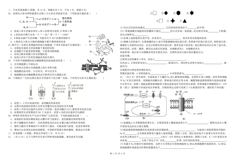 高一下一诊生物考试卷_2025年02月试卷_0228内蒙古自治区巴彦淖尔市第一中学2024-2025学年高一下学期第一次学业诊断