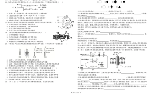 高一下一诊生物考试卷_2025年02月试卷_0228内蒙古自治区巴彦淖尔市第一中学2024-2025学年高一下学期第一次学业诊断