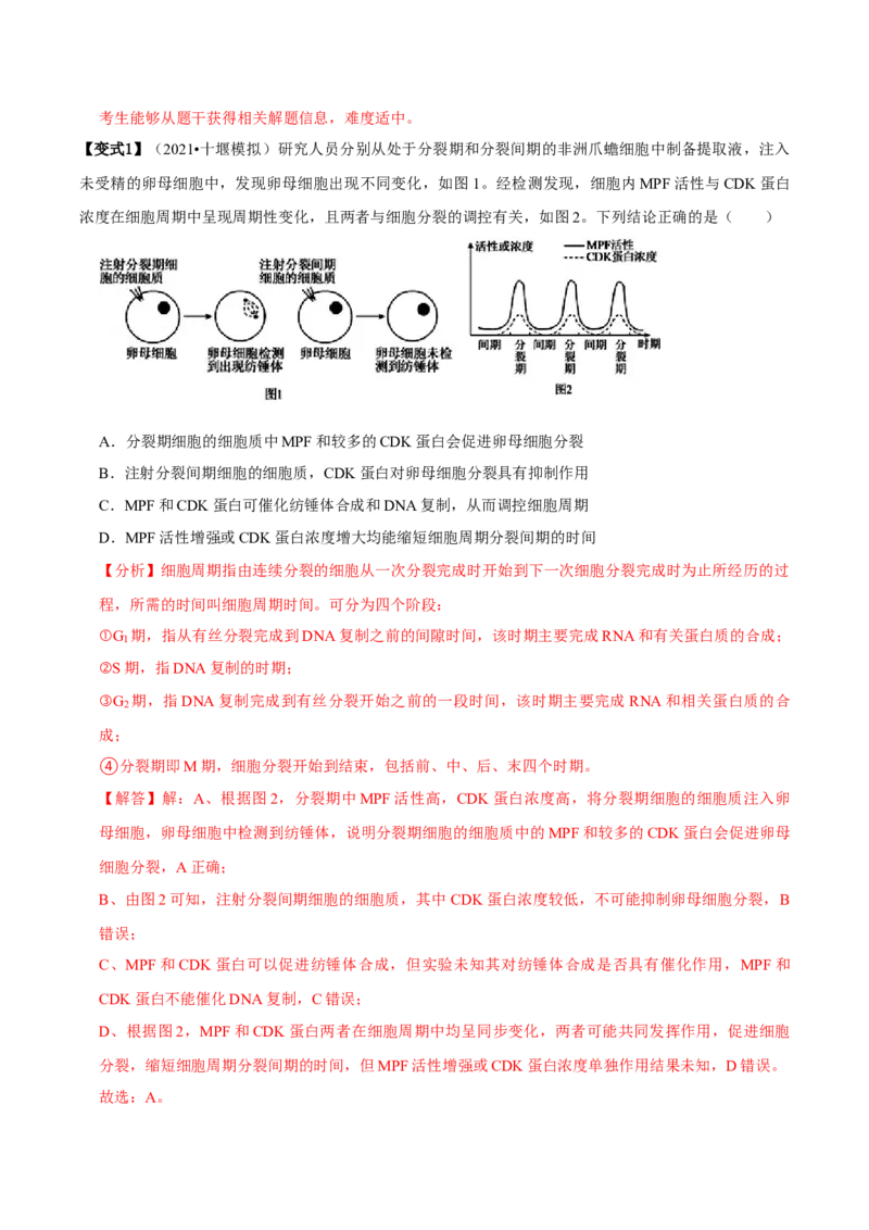 题型9与细胞周期有关的实验分析（题型归纳）（解析版）_新高考复习资料_2023年新高考复习资料_二轮复习_技巧点拨备战2023年高考生物二轮题型复习讲解286731240