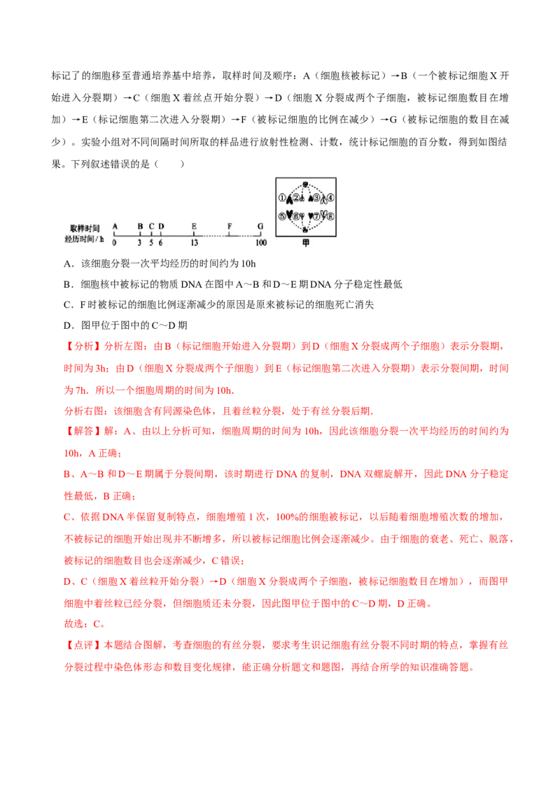 题型9与细胞周期有关的实验分析（题型归纳）（解析版）_新高考复习资料_2023年新高考复习资料_二轮复习_技巧点拨备战2023年高考生物二轮题型复习讲解286731240