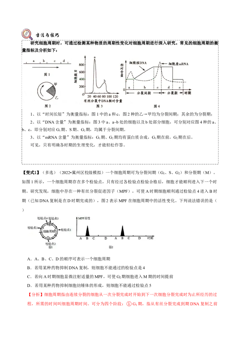 题型9与细胞周期有关的实验分析（题型归纳）（解析版）_新高考复习资料_2023年新高考复习资料_二轮复习_技巧点拨备战2023年高考生物二轮题型复习讲解286731240