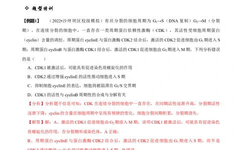 题型9与细胞周期有关的实验分析（题型归纳）（解析版）_新高考复习资料_2023年新高考复习资料_二轮复习_技巧点拨备战2023年高考生物二轮题型复习讲解286731240