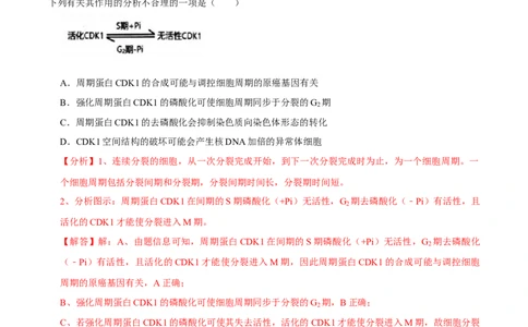 题型9与细胞周期有关的实验分析（题型归纳）（解析版）_新高考复习资料_2023年新高考复习资料_二轮复习_技巧点拨备战2023年高考生物二轮题型复习讲解286731240