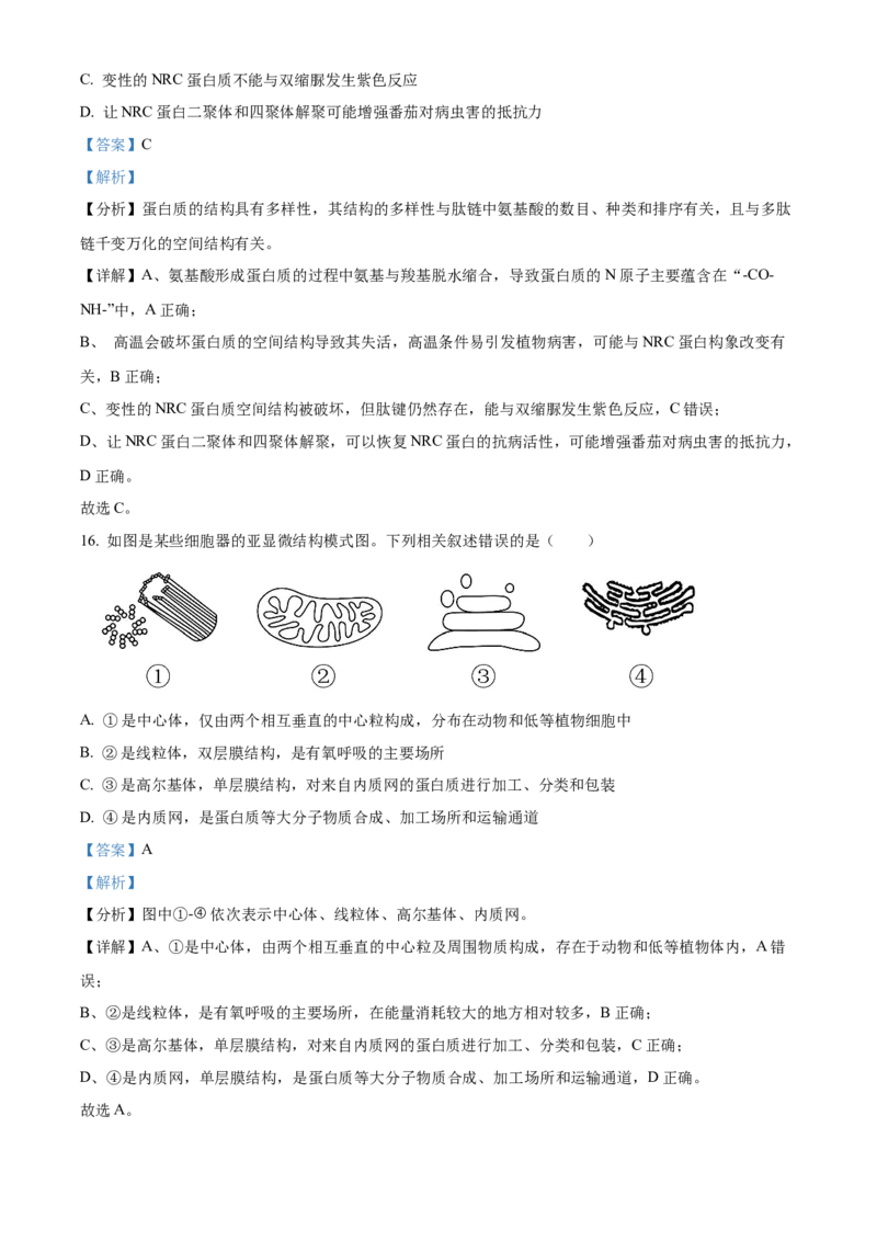 重庆市主城区七校联考2024-2025学年高一上学期期末考试生物试题Word版含解析_2025年03月试卷_0313重庆市主城区七校联考2024-2025学年高一上学期期末考试