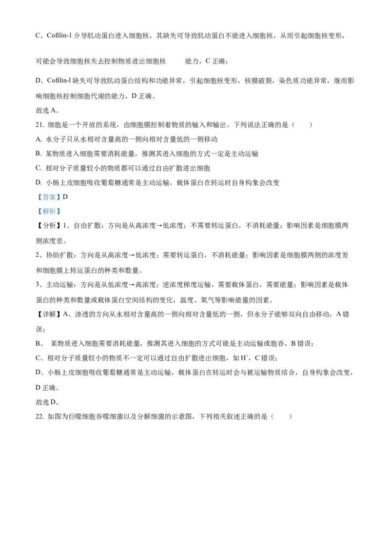 重庆市主城区七校联考2024-2025学年高一上学期期末考试生物试题Word版含解析_2025年03月试卷_0313重庆市主城区七校联考2024-2025学年高一上学期期末考试
