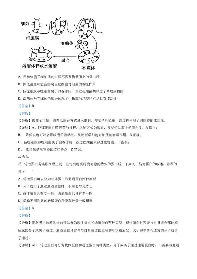 重庆市主城区七校联考2024-2025学年高一上学期期末考试生物试题Word版含解析_2025年03月试卷_0313重庆市主城区七校联考2024-2025学年高一上学期期末考试