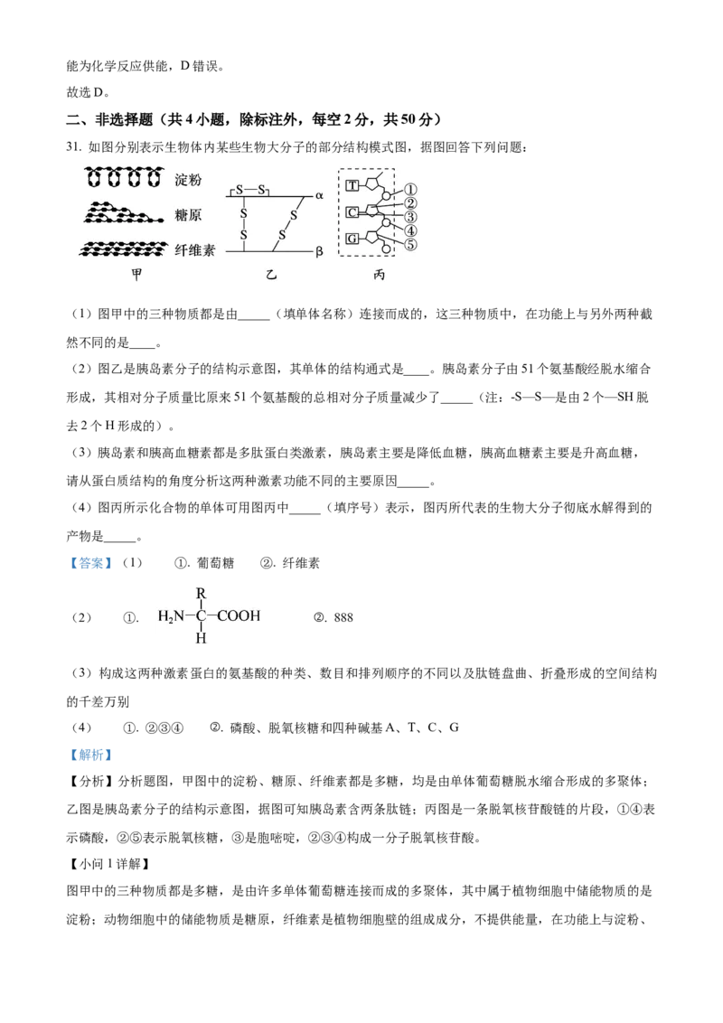 重庆市主城区七校联考2024-2025学年高一上学期期末考试生物试题Word版含解析_2025年03月试卷_0313重庆市主城区七校联考2024-2025学年高一上学期期末考试