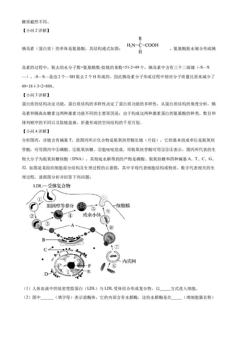 重庆市主城区七校联考2024-2025学年高一上学期期末考试生物试题Word版含解析_2025年03月试卷_0313重庆市主城区七校联考2024-2025学年高一上学期期末考试