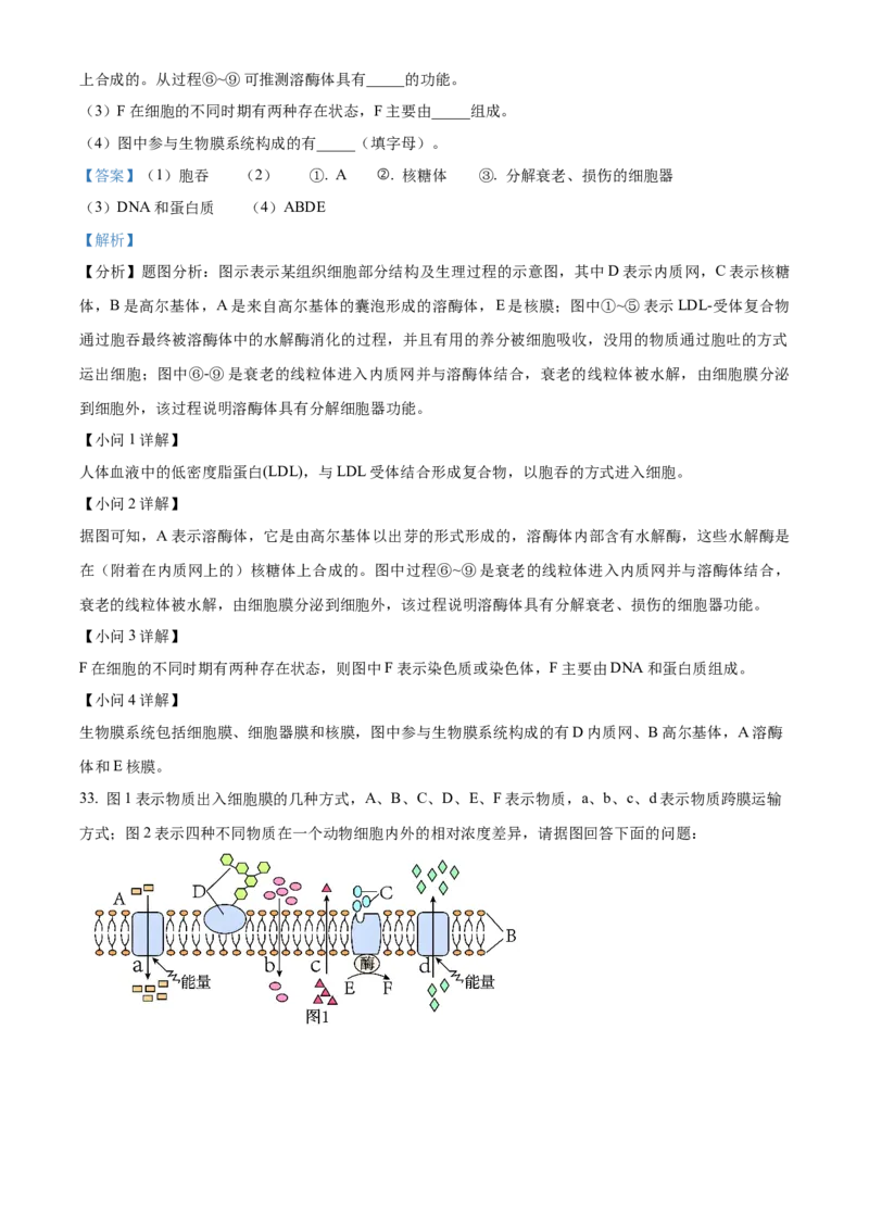 重庆市主城区七校联考2024-2025学年高一上学期期末考试生物试题Word版含解析_2025年03月试卷_0313重庆市主城区七校联考2024-2025学年高一上学期期末考试