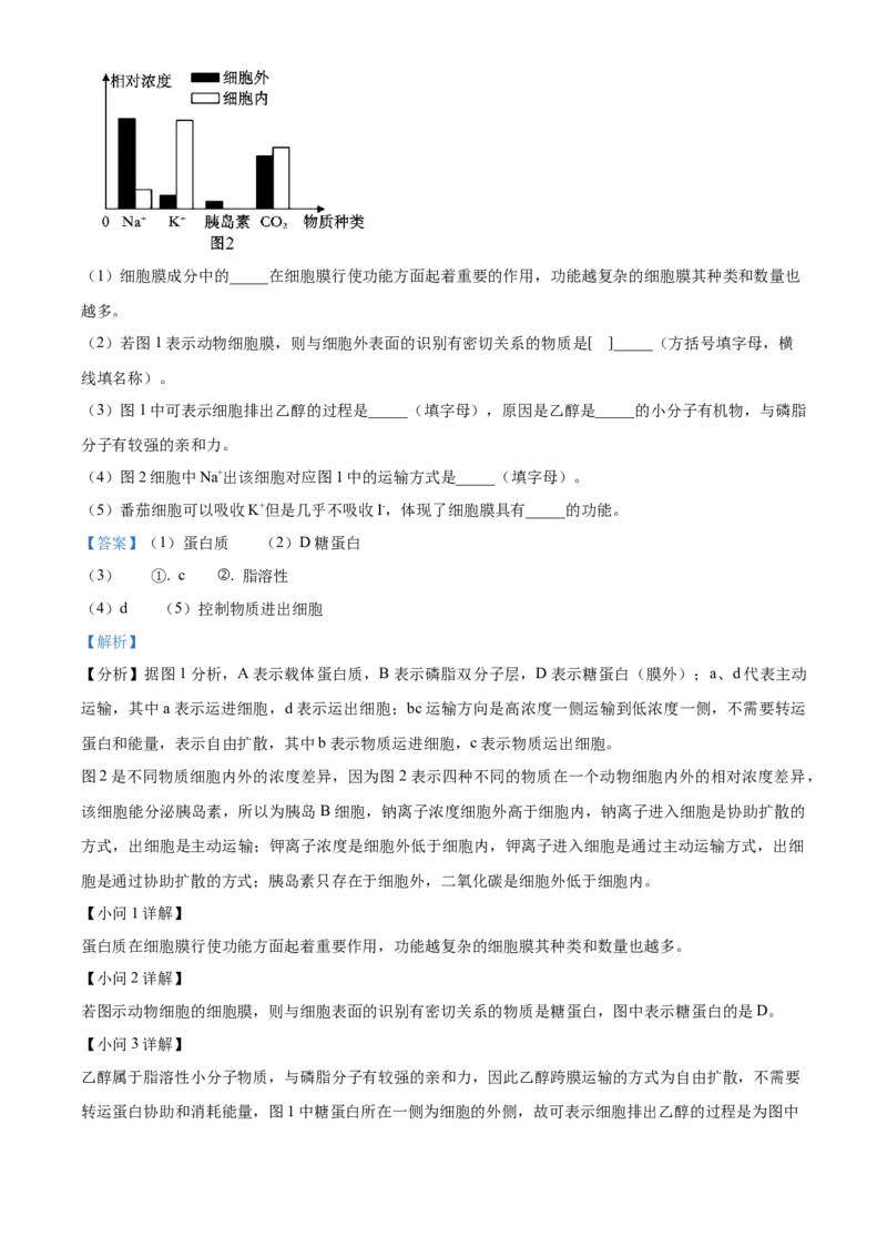 重庆市主城区七校联考2024-2025学年高一上学期期末考试生物试题Word版含解析_2025年03月试卷_0313重庆市主城区七校联考2024-2025学年高一上学期期末考试