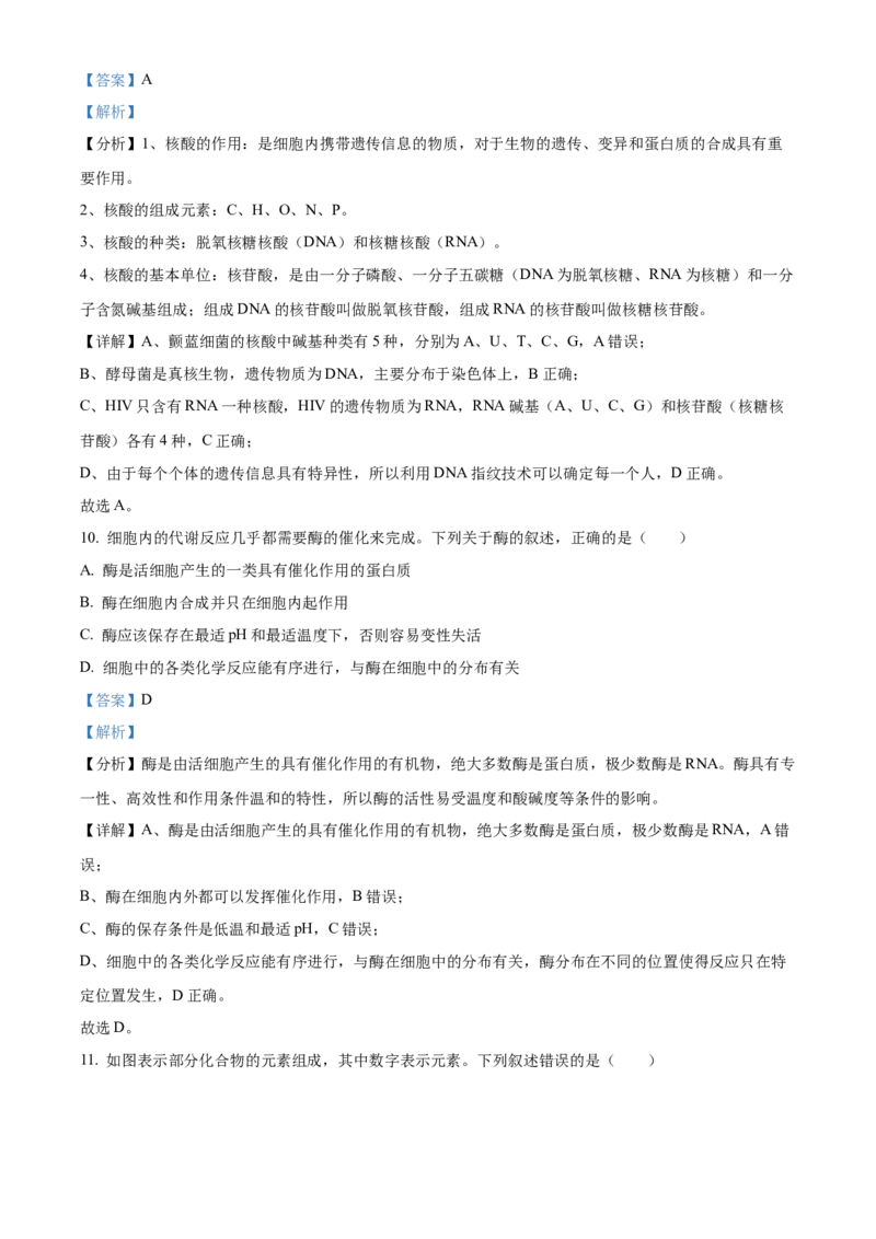 重庆市主城区七校联考2024-2025学年高一上学期期末考试生物试题Word版含解析_2025年03月试卷_0313重庆市主城区七校联考2024-2025学年高一上学期期末考试
