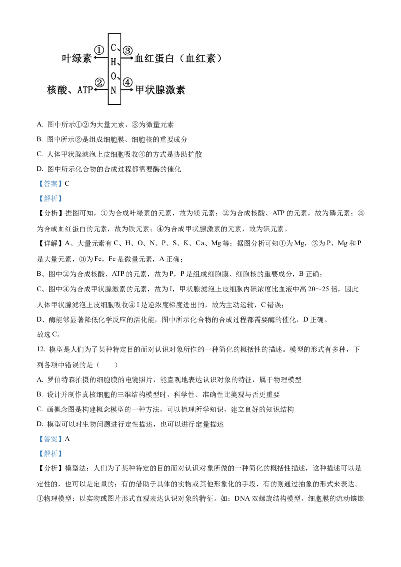 重庆市主城区七校联考2024-2025学年高一上学期期末考试生物试题Word版含解析_2025年03月试卷_0313重庆市主城区七校联考2024-2025学年高一上学期期末考试