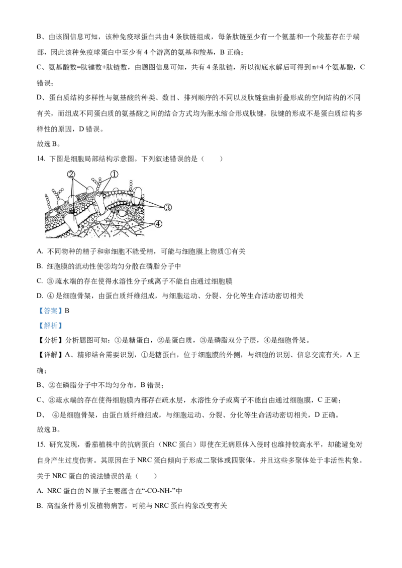 重庆市主城区七校联考2024-2025学年高一上学期期末考试生物试题Word版含解析_2025年03月试卷_0313重庆市主城区七校联考2024-2025学年高一上学期期末考试