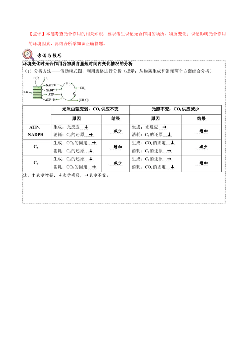 题型6从物质与能量视角探索光合作用（题型归纳）（解析版）_新高考复习资料_2023年新高考复习资料_二轮复习_技巧点拨备战2023年高考生物二轮题型复习讲解286731240