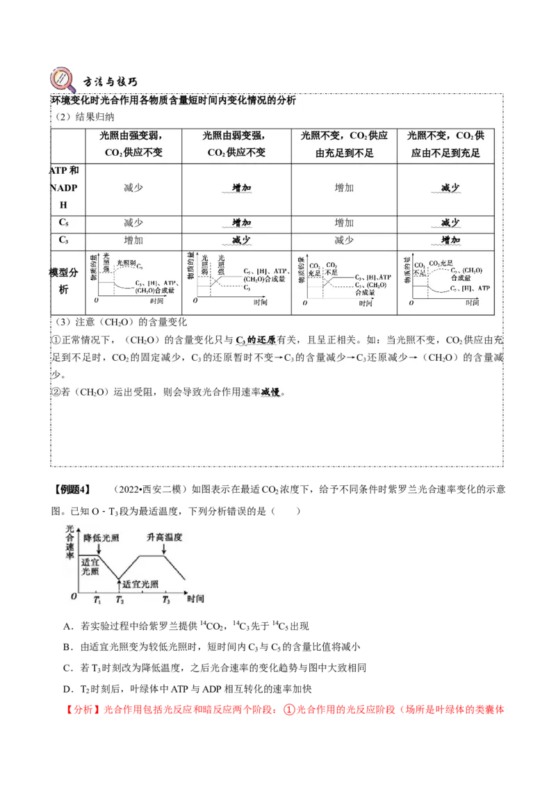 题型6从物质与能量视角探索光合作用（题型归纳）（解析版）_新高考复习资料_2023年新高考复习资料_二轮复习_技巧点拨备战2023年高考生物二轮题型复习讲解286731240
