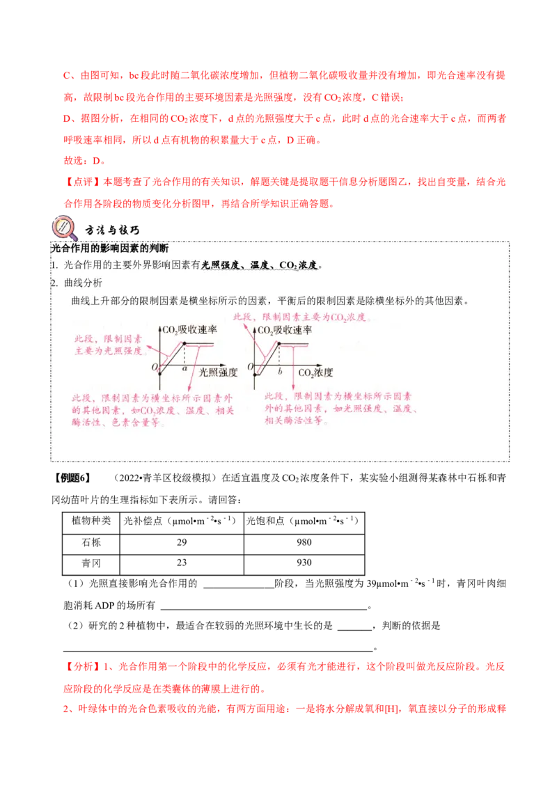 题型6从物质与能量视角探索光合作用（题型归纳）（解析版）_新高考复习资料_2023年新高考复习资料_二轮复习_技巧点拨备战2023年高考生物二轮题型复习讲解286731240