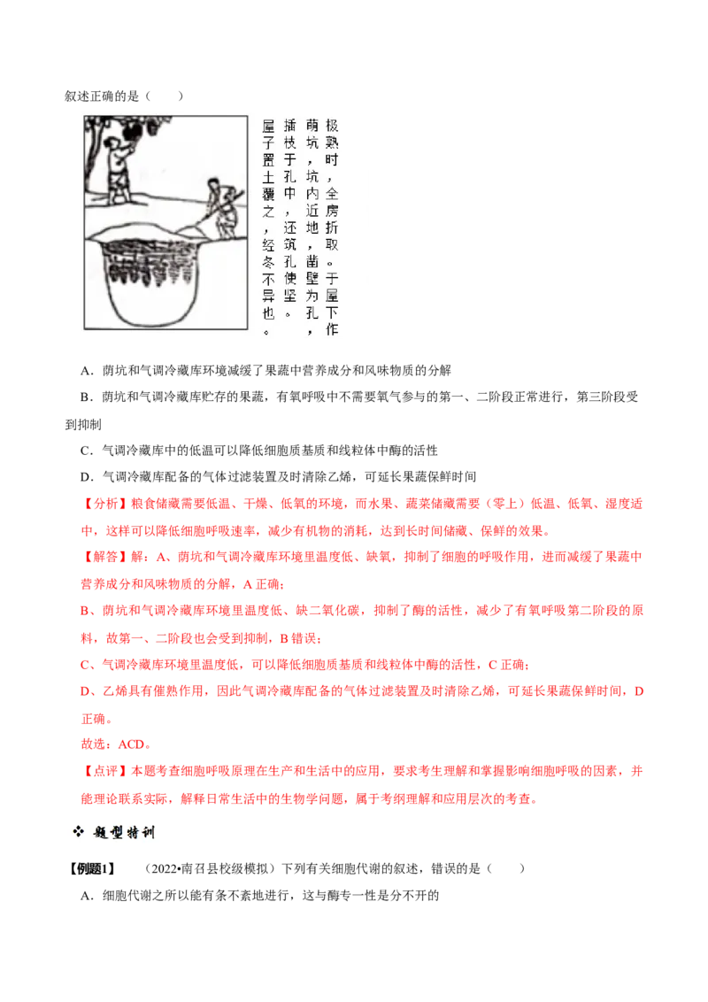题型6从物质与能量视角探索光合作用（题型归纳）（解析版）_新高考复习资料_2023年新高考复习资料_二轮复习_技巧点拨备战2023年高考生物二轮题型复习讲解286731240
