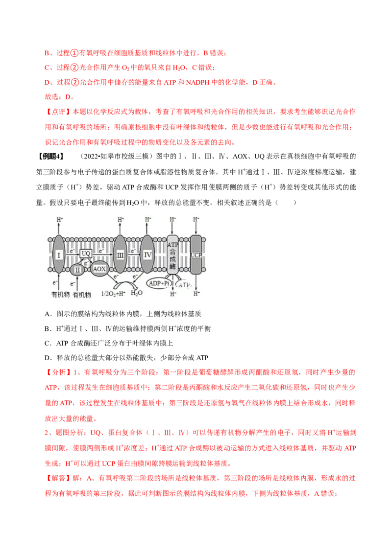 题型6从物质与能量视角探索光合作用（题型归纳）（解析版）_新高考复习资料_2023年新高考复习资料_二轮复习_技巧点拨备战2023年高考生物二轮题型复习讲解286731240