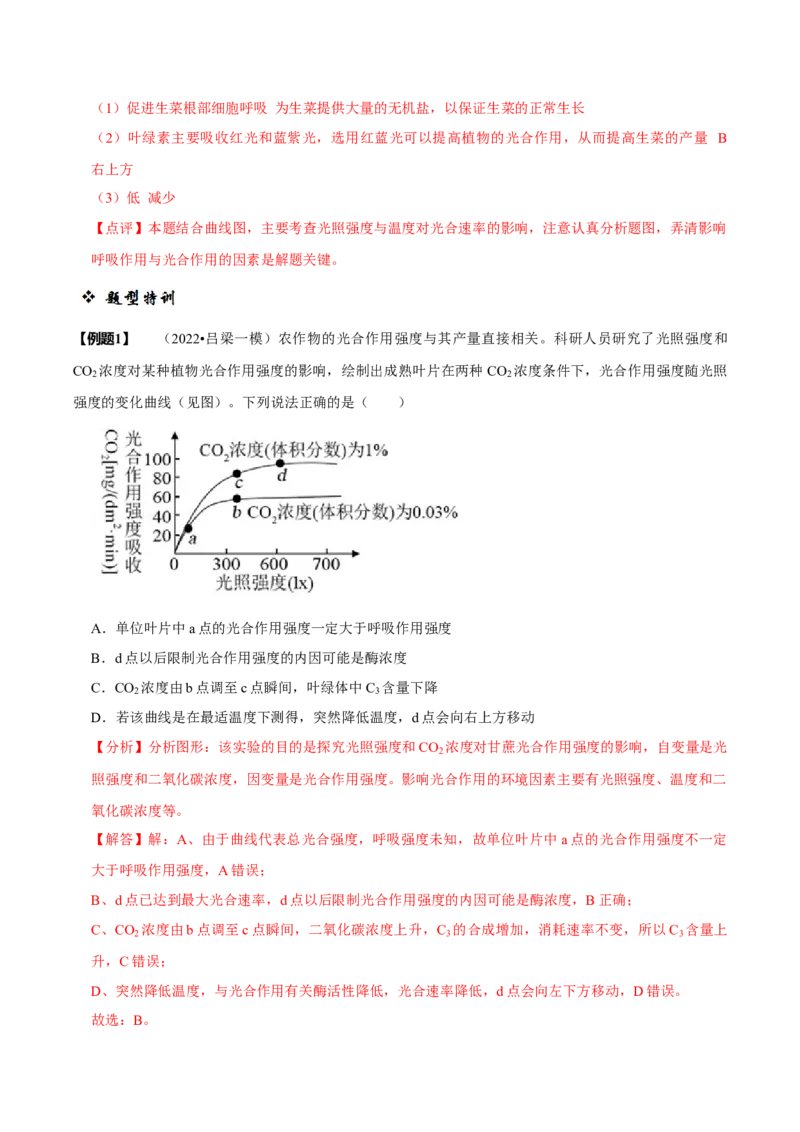 题型6从物质与能量视角探索光合作用（题型归纳）（解析版）_新高考复习资料_2023年新高考复习资料_二轮复习_技巧点拨备战2023年高考生物二轮题型复习讲解286731240