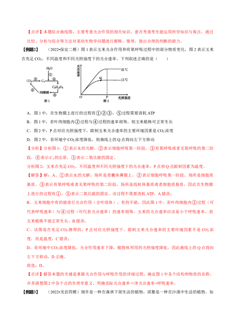 题型6从物质与能量视角探索光合作用（题型归纳）（解析版）_新高考复习资料_2023年新高考复习资料_二轮复习_技巧点拨备战2023年高考生物二轮题型复习讲解286731240