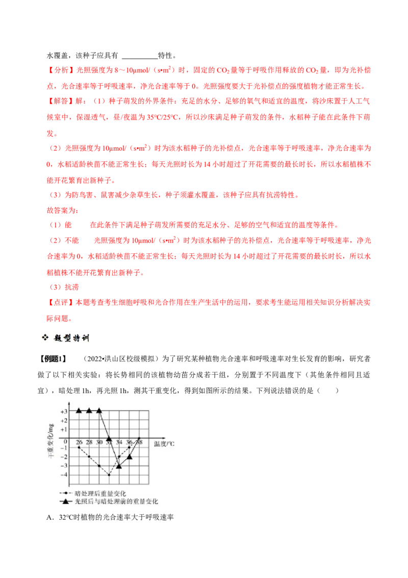 题型6从物质与能量视角探索光合作用（题型归纳）（解析版）_新高考复习资料_2023年新高考复习资料_二轮复习_技巧点拨备战2023年高考生物二轮题型复习讲解286731240