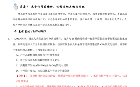 题型6从物质与能量视角探索光合作用（题型归纳）（解析版）_新高考复习资料_2023年新高考复习资料_二轮复习_技巧点拨备战2023年高考生物二轮题型复习讲解286731240