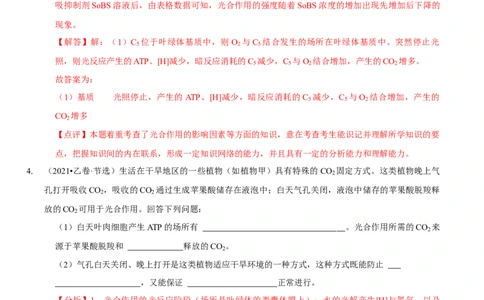 题型6从物质与能量视角探索光合作用（题型归纳）（解析版）_新高考复习资料_2023年新高考复习资料_二轮复习_技巧点拨备战2023年高考生物二轮题型复习讲解286731240