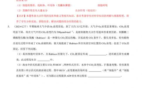 题型6从物质与能量视角探索光合作用（题型归纳）（解析版）_新高考复习资料_2023年新高考复习资料_二轮复习_技巧点拨备战2023年高考生物二轮题型复习讲解286731240