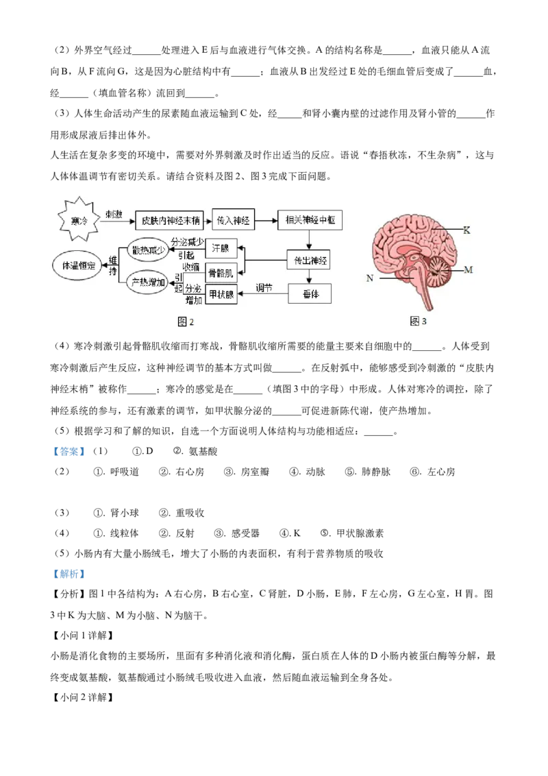 精品解析：2023年内蒙古赤峰市中考生物真题（解析版）_new_6生物中考复习_2025中考复习资料_中考真题（近三年）_2023年生物中考真题