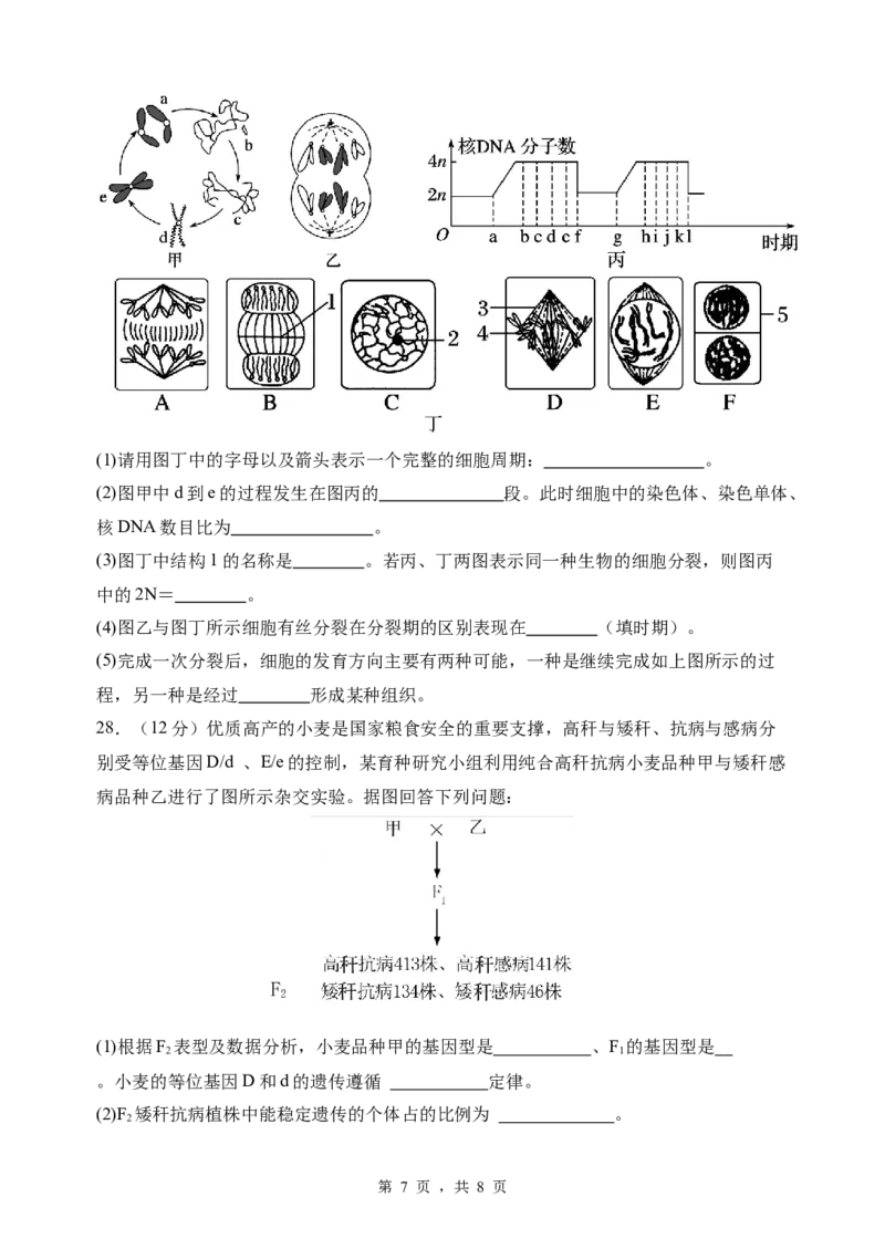 高一下学期生物第一次月考试卷_2025年03月试卷_0321云南省玉溪市一中2024-2025学年高一下学期3月月考试题_云南省玉溪市一中2024-2025学年高一下学期3月月考试题生物Word版含答案