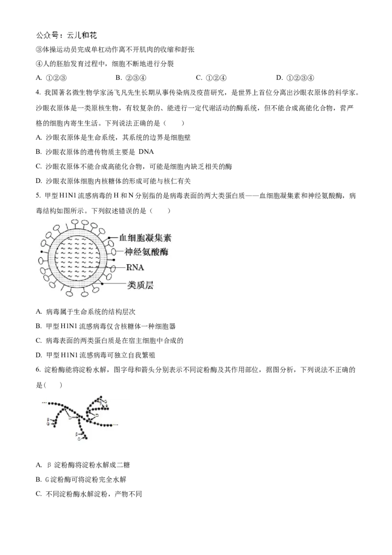 陕西省西安市部分学校联考2024-2025学年高一上学期11月期中生物试题Word版无答案_2024年11月试卷_1127陕西省西安市部分学校联考2024-2025学年高一上学期11月期中考试
