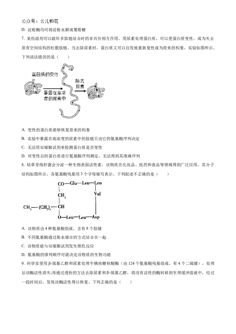 陕西省西安市部分学校联考2024-2025学年高一上学期11月期中生物试题Word版无答案_2024年11月试卷_1127陕西省西安市部分学校联考2024-2025学年高一上学期11月期中考试