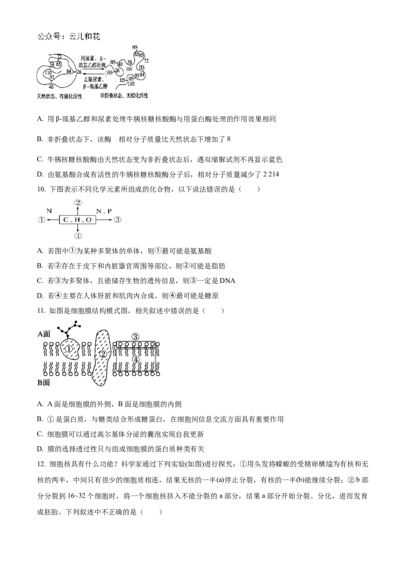 陕西省西安市部分学校联考2024-2025学年高一上学期11月期中生物试题Word版无答案_2024年11月试卷_1127陕西省西安市部分学校联考2024-2025学年高一上学期11月期中考试