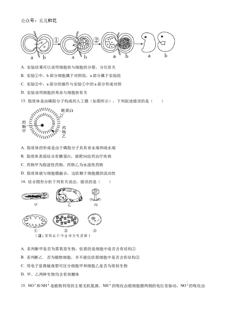 陕西省西安市部分学校联考2024-2025学年高一上学期11月期中生物试题Word版无答案_2024年11月试卷_1127陕西省西安市部分学校联考2024-2025学年高一上学期11月期中考试