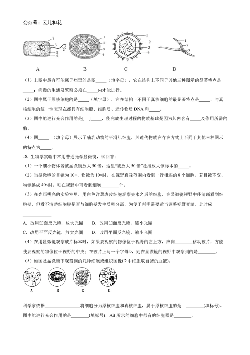 陕西省西安市部分学校联考2024-2025学年高一上学期11月期中生物试题Word版无答案_2024年11月试卷_1127陕西省西安市部分学校联考2024-2025学年高一上学期11月期中考试