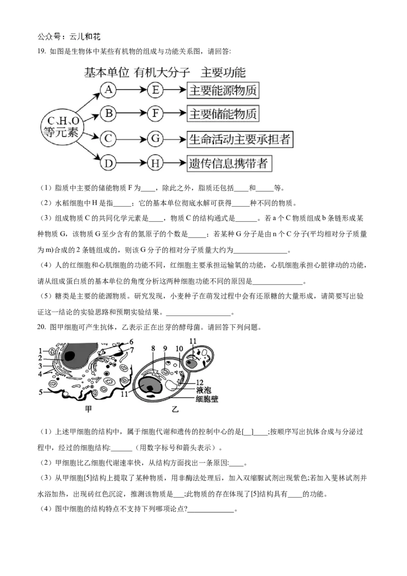 陕西省西安市部分学校联考2024-2025学年高一上学期11月期中生物试题Word版无答案_2024年11月试卷_1127陕西省西安市部分学校联考2024-2025学年高一上学期11月期中考试