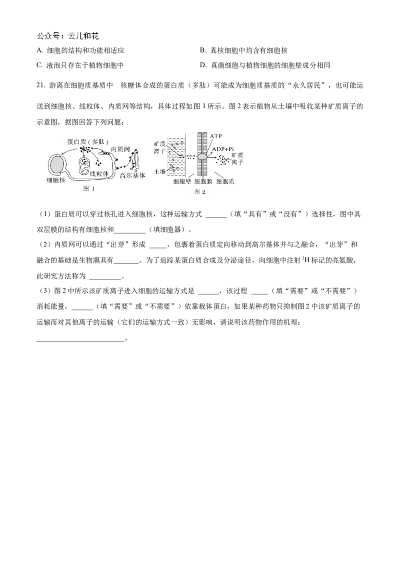 陕西省西安市部分学校联考2024-2025学年高一上学期11月期中生物试题Word版无答案_2024年11月试卷_1127陕西省西安市部分学校联考2024-2025学年高一上学期11月期中考试