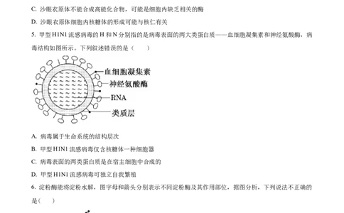 陕西省西安市部分学校联考2024-2025学年高一上学期11月期中生物试题Word版无答案_2024年11月试卷_1127陕西省西安市部分学校联考2024-2025学年高一上学期11月期中考试
