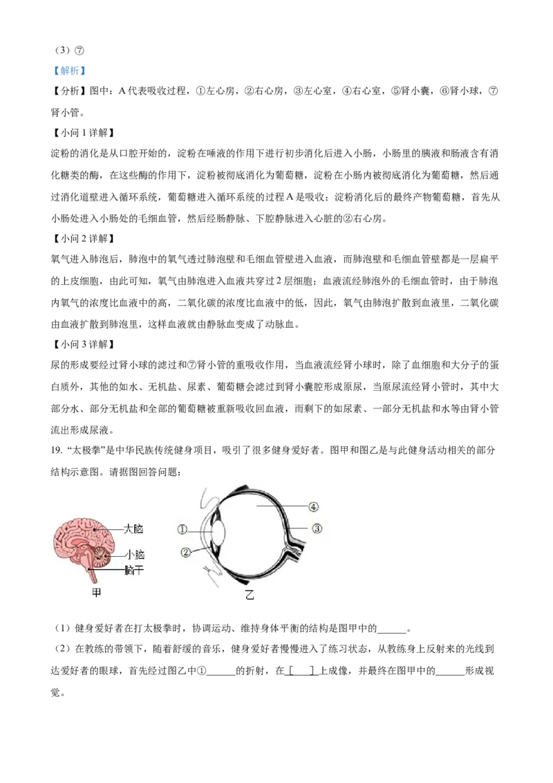 精品解析：2022年辽宁省营口市中考生物真题（解析版）_6生物中考复习_2025中考复习资料_中考真题（近三年）_2022年生物中考真题114份_精品解析：2022年辽宁省营口市中考生物真题