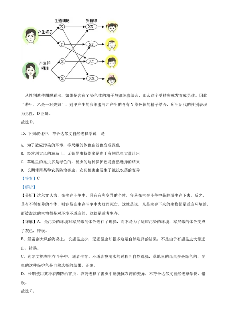 精品解析：2022年辽宁省营口市中考生物真题（解析版）_6生物中考复习_2025中考复习资料_中考真题（近三年）_2022年生物中考真题114份_精品解析：2022年辽宁省营口市中考生物真题