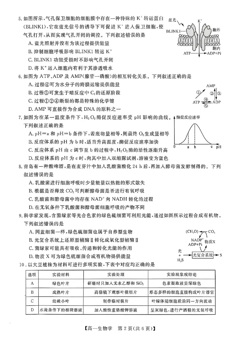 钦州2025-2026秋季期末高一生物试卷_2026年02月高一试卷_260205广西钦州市2025-2026高一上学期期末教学质量检测