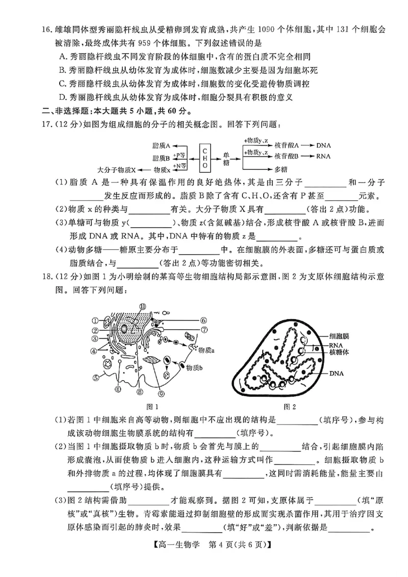 钦州2025-2026秋季期末高一生物试卷_2026年02月高一试卷_260205广西钦州市2025-2026高一上学期期末教学质量检测