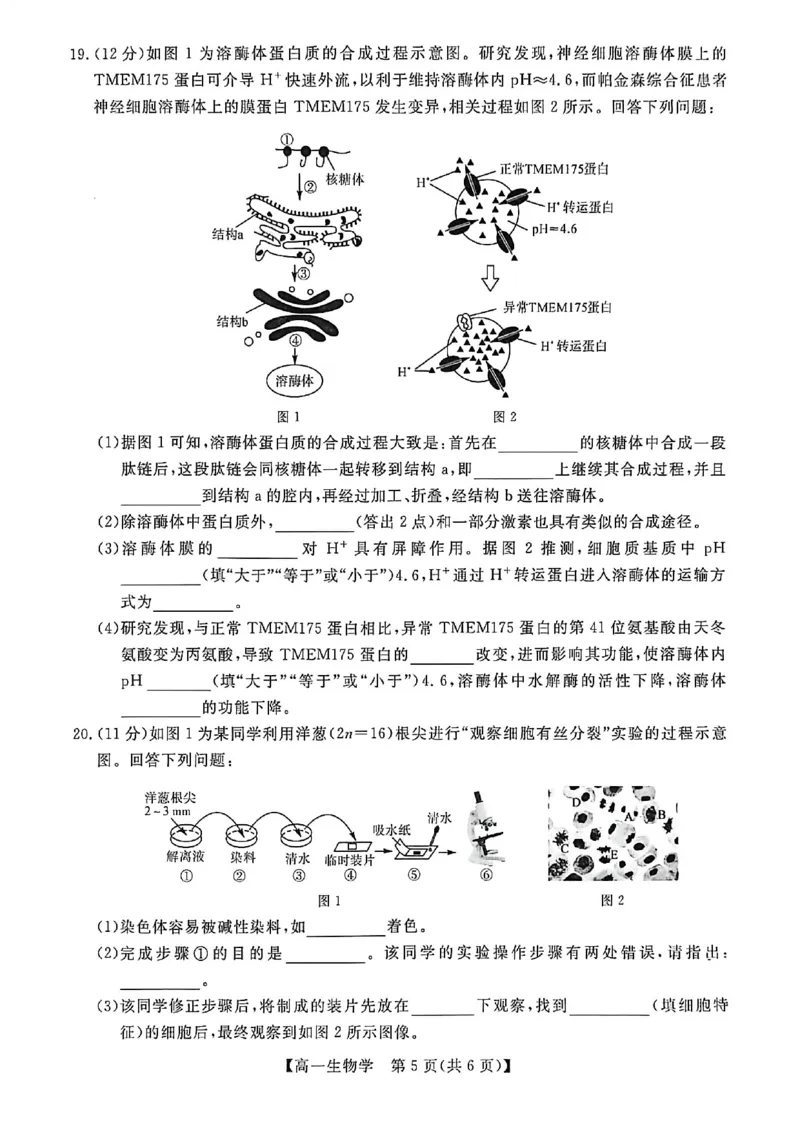 钦州2025-2026秋季期末高一生物试卷_2026年02月高一试卷_260205广西钦州市2025-2026高一上学期期末教学质量检测