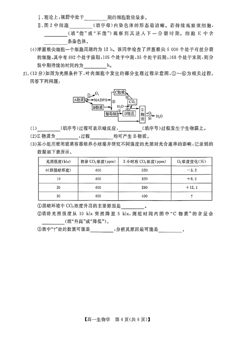 钦州2025-2026秋季期末高一生物试卷_2026年02月高一试卷_260205广西钦州市2025-2026高一上学期期末教学质量检测