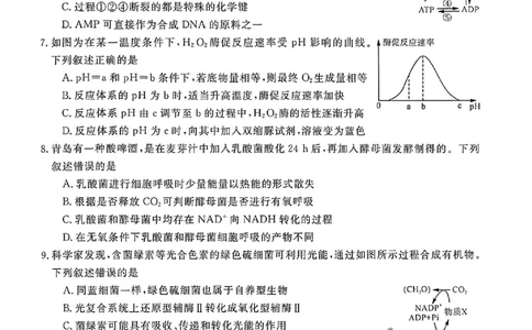 钦州2025-2026秋季期末高一生物试卷_2026年02月高一试卷_260205广西钦州市2025-2026高一上学期期末教学质量检测